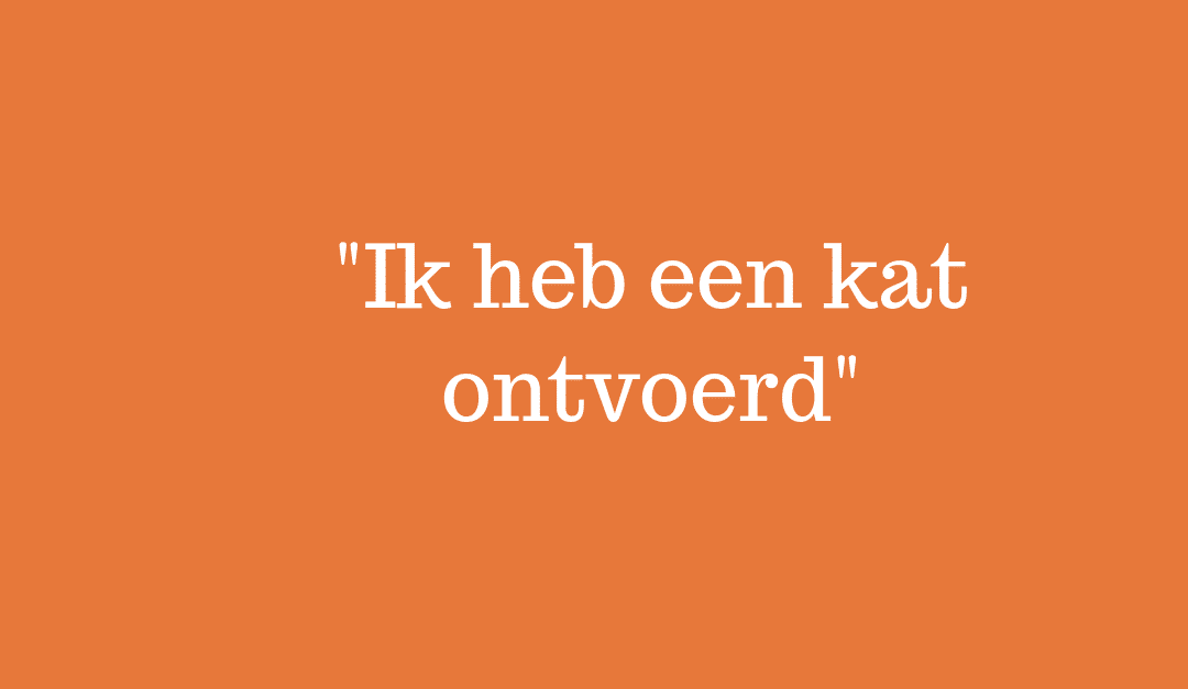 Dagboek van een debiteurenbeheerder – Kat Ontvoerd